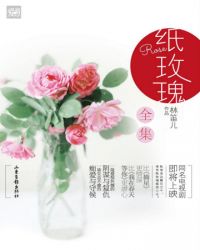 纸玫瑰（合集）小说封面