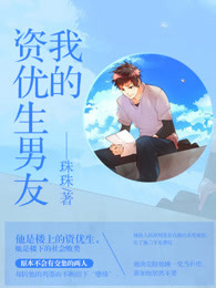 我的优质男友 台湾小说封面