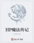 HP魔法传记小说封面